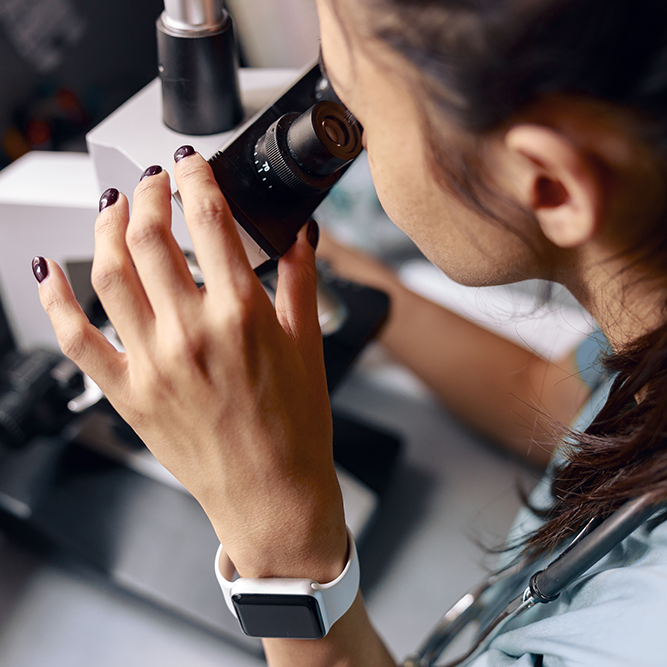 scientist looks into the microscope